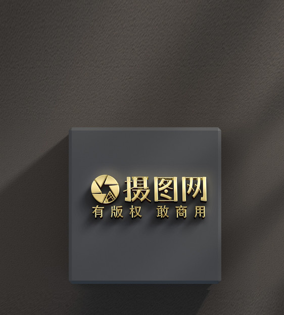 logo品牌样机图片