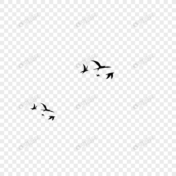 飞翔的鸟图片