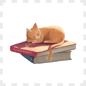 睡在书籍上的猫图片