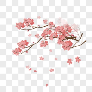 油桐花树图片 油桐花树素材 油桐花树高清图片 摄图网图片下载