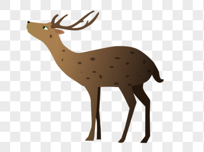 小鹿斑图片-小鹿斑素材图片大全-摄图网