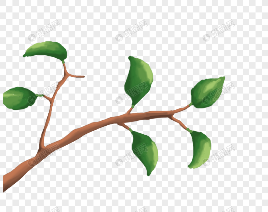 枝叶元素素材下载 正版素材 摄图网