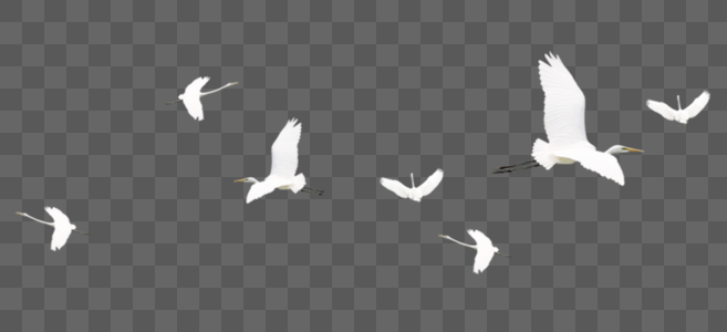 白鹤素材手绘飞禽高清图片