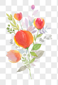 手绘 植物 花卉图片