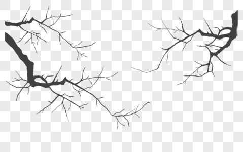 树枝树枝素材树枝高清图片