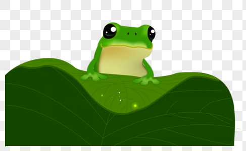 青蛙趴在叶子上的青蛙大青蛙高清图片