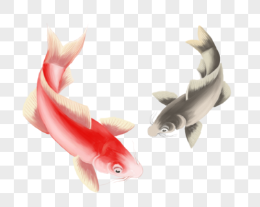 鱼插画鱼元素高清图片