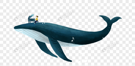 鲸鱼上的男孩图片