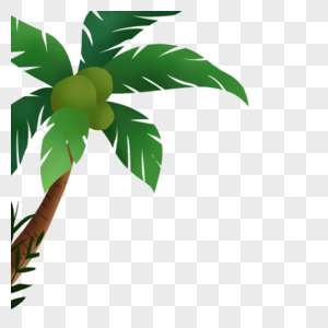 椰子树茂盛椰子树高清图片