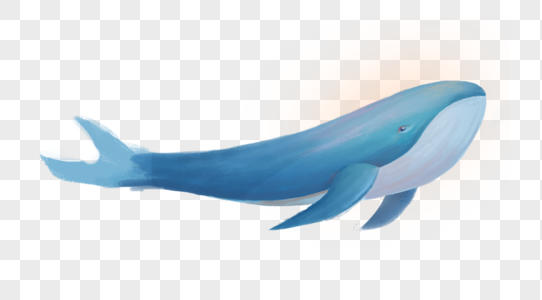 鲸鱼插画鲸鱼高清图片