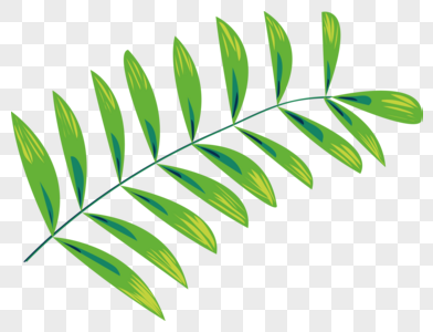 植物叶子卡通图片