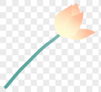 荷花卡通画图片