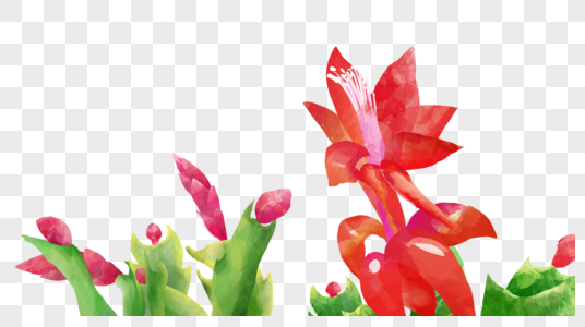 花卉素材图片