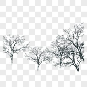 树干图片