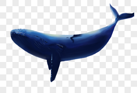 治愈系鲸鱼大鱼元素高清图片