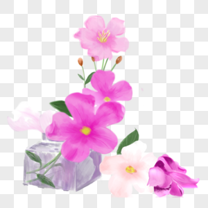 粉色小花图片