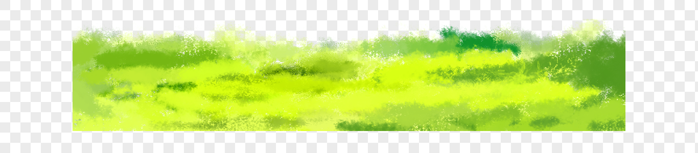 草绿草稗草高清图片