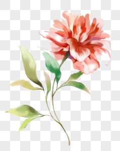 一朵花手绘花png高清图片