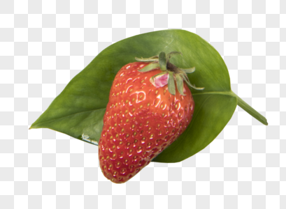 产品实物草莓叶子颜色图片