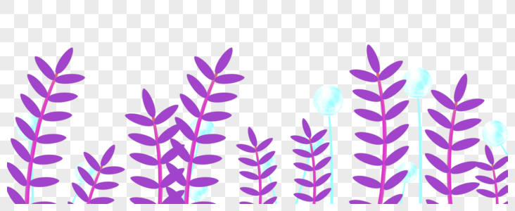 紫色的植物图片