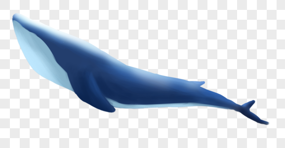 鲸鱼朦胧鲸手绘高清图片
