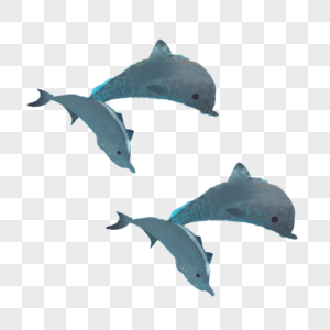 一群海豚图片