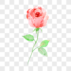 鲜花玫瑰装饰图片