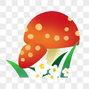 蘑菇鲜花图片