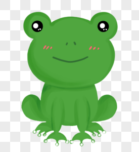 青蛙常见青蛙高清图片