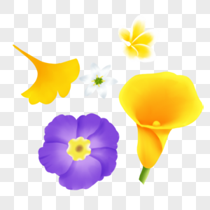 漂亮的花朵黄色花瓣边框高清图片