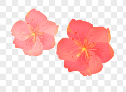 花朵元素图片