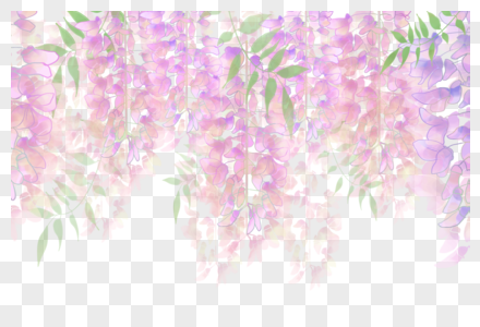 小清新紫藤萝高清图片