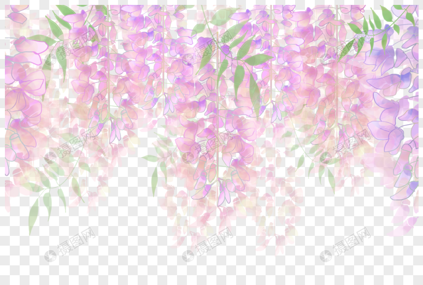 小清新紫藤萝图片