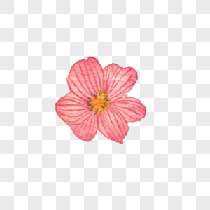 花朵素材元素素材下载 正版素材 摄图网