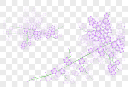 小清新紫色繁花高清图片
