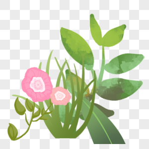 手绘花卉植物图片