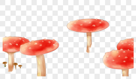 林中蘑菇图片