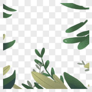 植物边框装饰图片