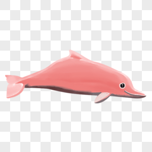 粉色海豚图片