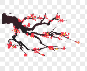梅花树枝图片