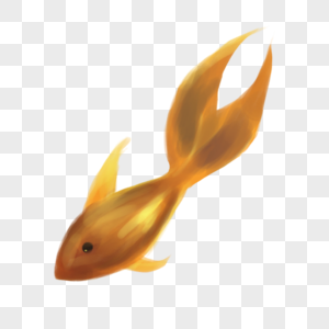 小金魚 小金魚图片 小金魚图片素材大全 摄图网