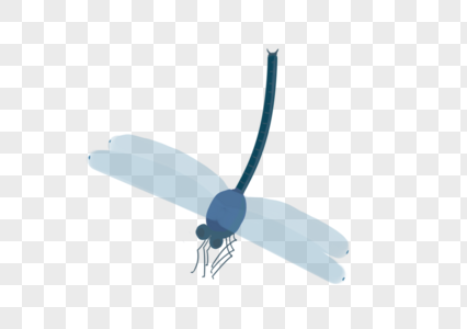 二十四节气蜻蜓高清图片