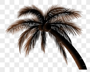 椰树手绘植物椰子树高清图片