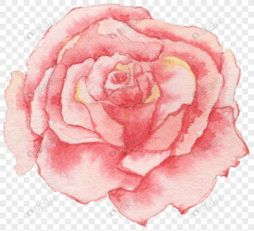 水彩玫瑰花元素素材下载 正版素材 摄图网