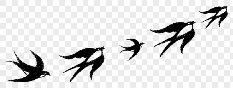 绿幕白大雁图片_绿幕白大雁素材_摄图网商用图片素材大全