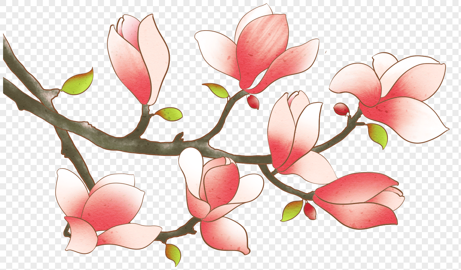 玉兰花元素素材下载-正版素材400268122-摄图网