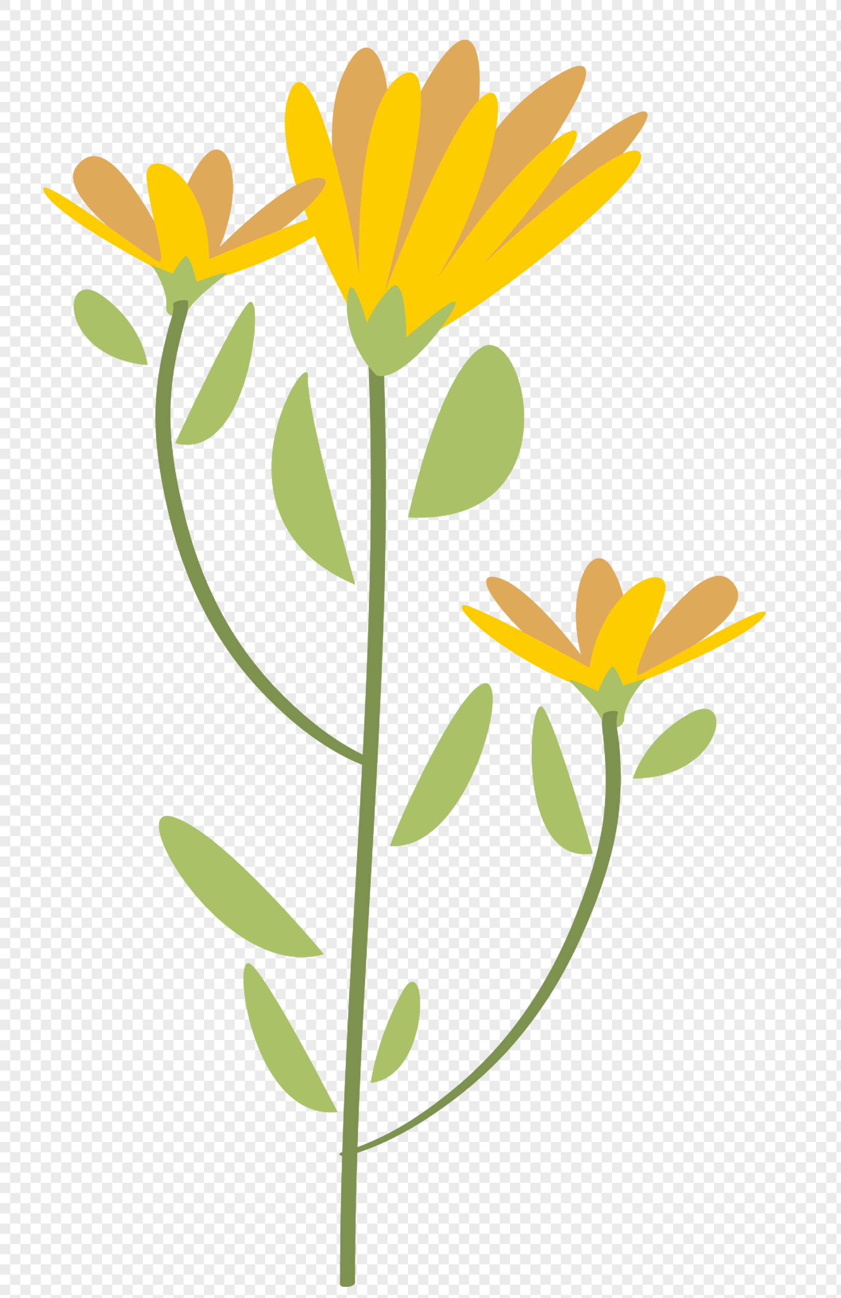 手绘植物花卉元素素材下载-正版素材400275662-摄图网