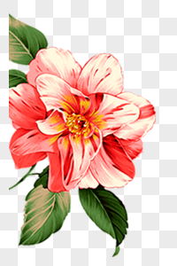 手绘花素材图片 手绘花素材素材 手绘花素材高清图片 摄图网图片下载