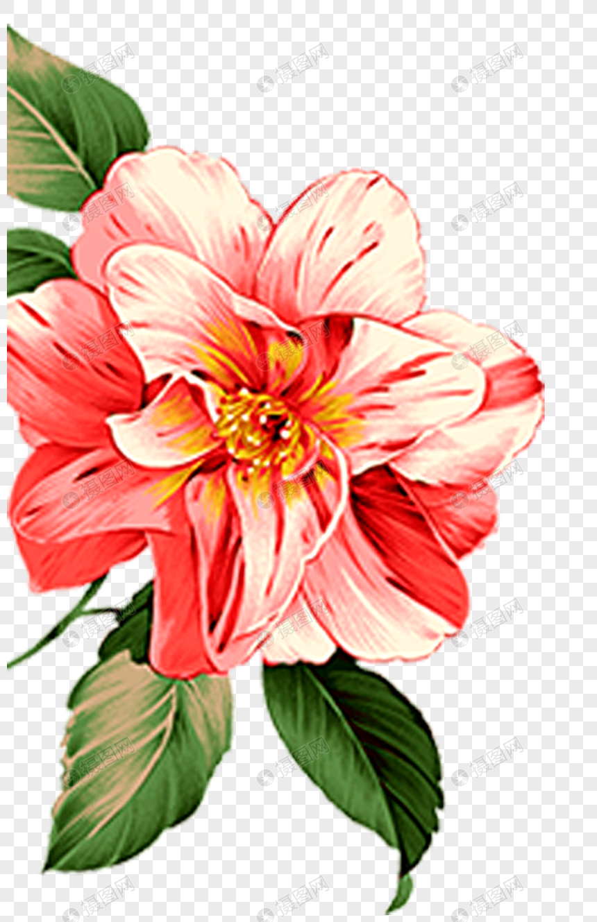 手绘花元素素材下载 正版素材 摄图网