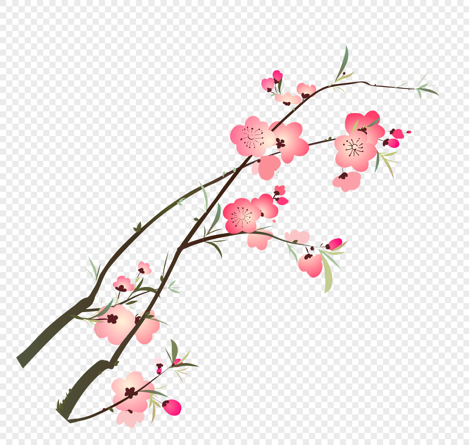 桃花枝装饰素材高清图片素材